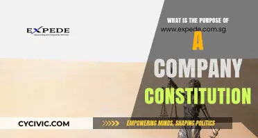 Why Constitutions Are Vital for Companies