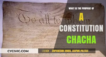 Understanding the Constitution's Purpose and Power