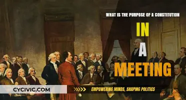 Meeting Constitutions: Purpose and Function