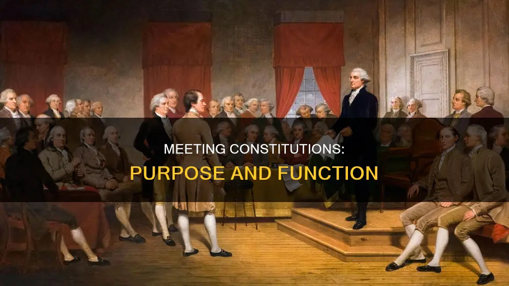 what is the purpose of a constitution in a meeting