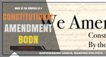 Constitutional Amendments: Why Bother?