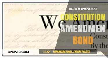 Unlocking Constitutional Amendment Bonds' Purpose
