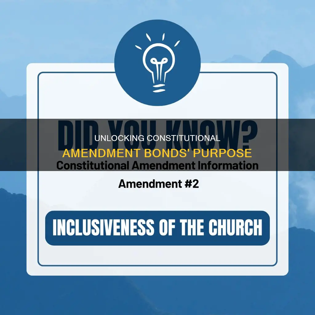 what is the purpose of a constitutional amendment bond