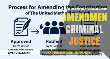 Amending Criminal Justice: The Constitutional Approach