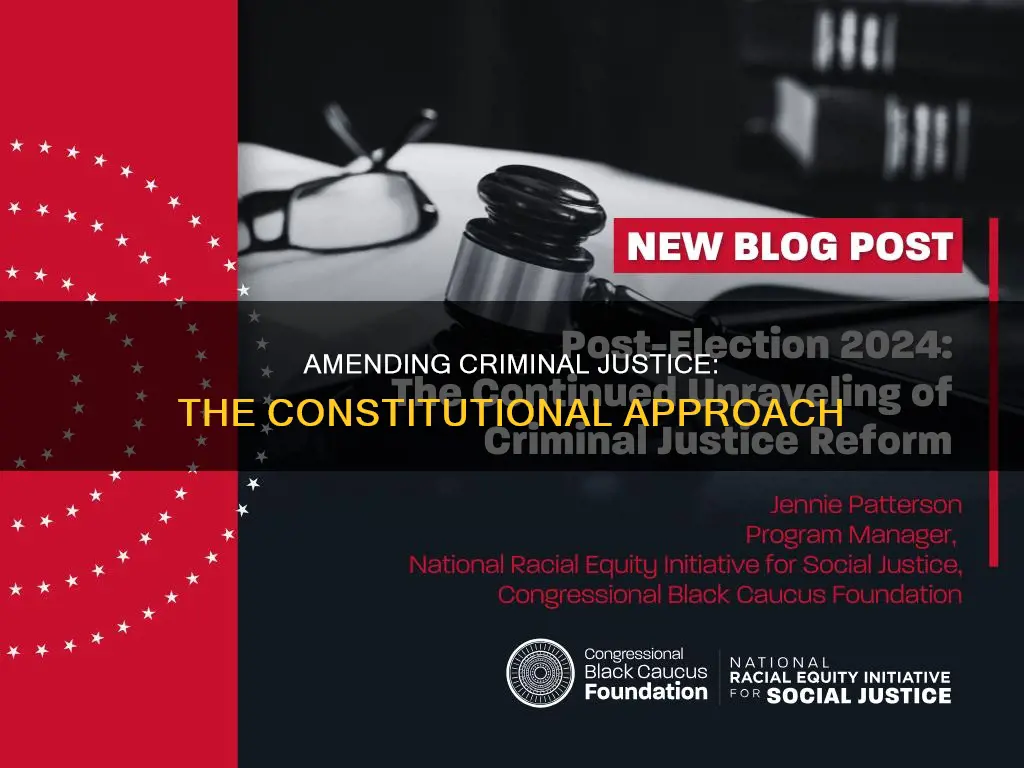 what is the purpose of a constitutional amendment criminal justice