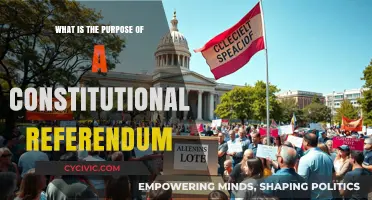 Understanding Constitutional Referendums: Power to the People