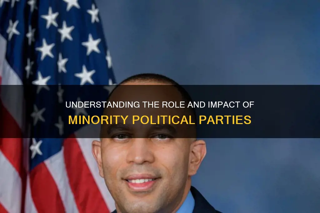 what is the purpose of a minority political party