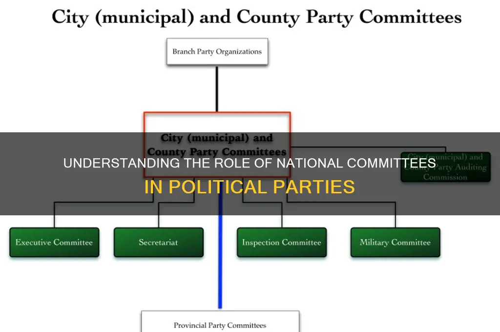 what is the purpose of a political parties national committee