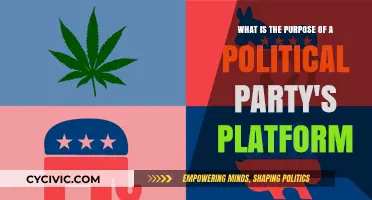 Understanding Political Party Platforms: Purpose, Impact, and Voter Influence