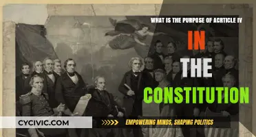 Article IV: The Unity Clause