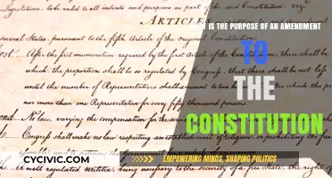 Amendments: Why Constitutions Need Tweaks and Revisions