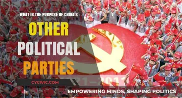 Understanding China's Multi-Party System: The Role of Other Political Parties