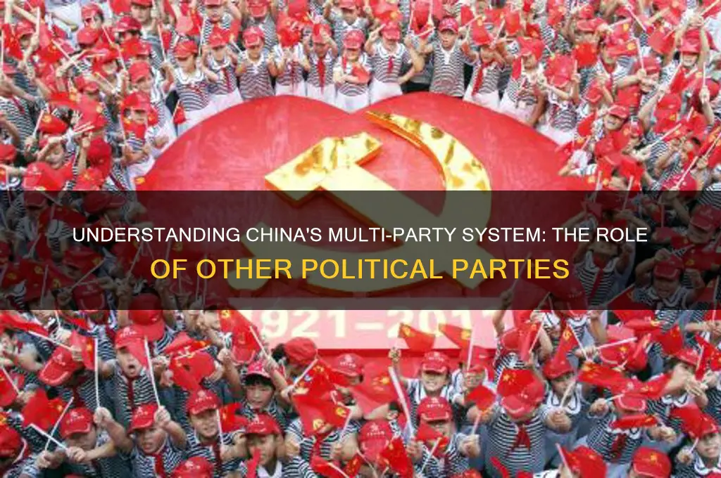 what is the purpose of china