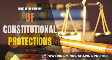 Constitutional Protections: Safeguarding Our Rights and Freedoms