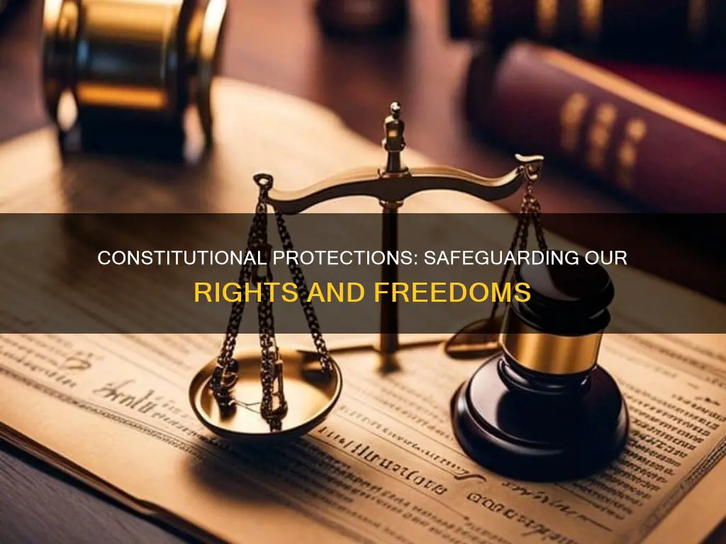 what is the purpose of constitutional protections