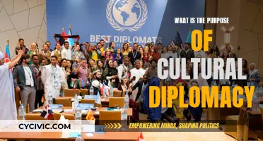 Cultural Diplomacy: Soft Power, Hard Impact