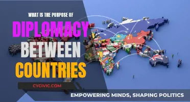 Diplomacy: A Tool for Peace and Country Relations