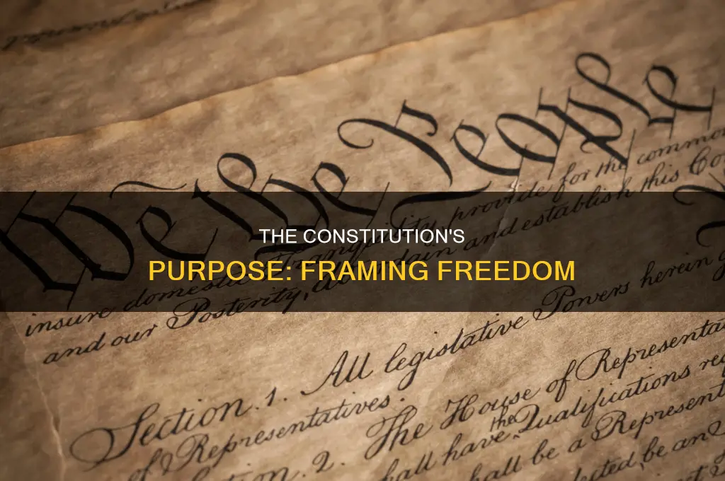 what is the purpose of establishing the constitution