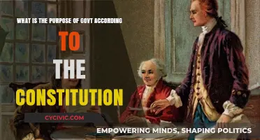 The Constitution's Vision: Role of Government