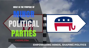 Why Minor Political Parties Matter in Shaping Diverse Democracies