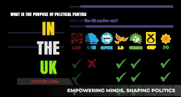 Understanding the Role of Political Parties in UK Democracy