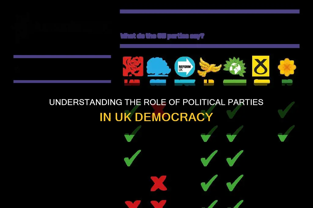 what is the purpose of political parties in the uk