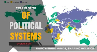 Exploring the Core Functions and Goals of Political Systems
