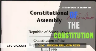 Understanding Section 167: Its Constitutional Purpose