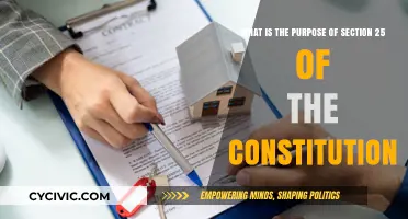 Understanding the Constitution: Section 25's Purpose