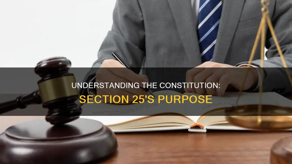 what is the purpose of section 25 of the constitution
