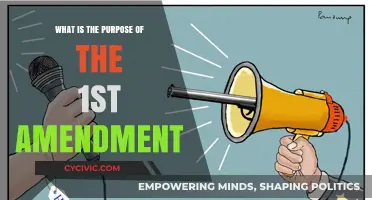 Understanding the First Amendment: Freedom's Foundation