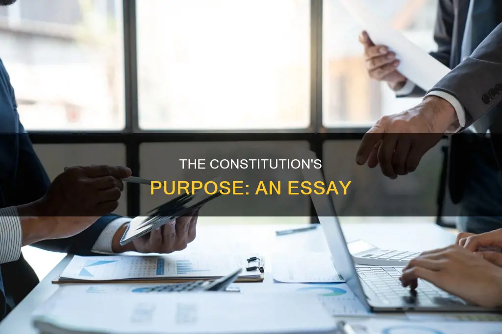 what is the purpose of the constitution essay