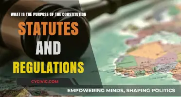 Understanding the Law: Constitution, Statutes, and Regulations