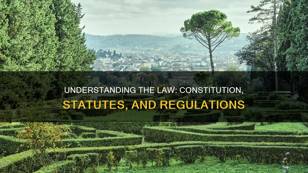what is the purpose of the constitution statutes and regulations
