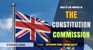 Constitutional Commissions: Their Vital Role and Purpose