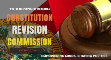Understanding Florida's Constitution Revision Commission