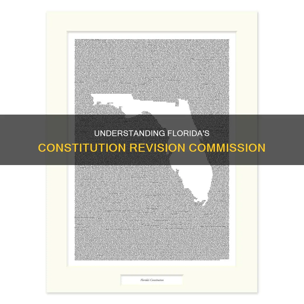 what is the purpose of the florida constitution revision commission