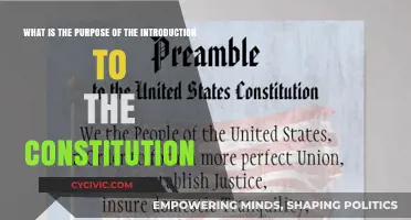 The Constitution's Introduction: Its Purpose and Promise