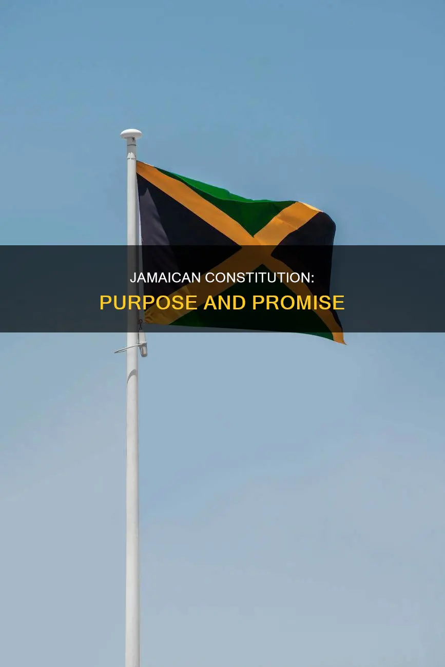 what is the purpose of the jamaican constitution