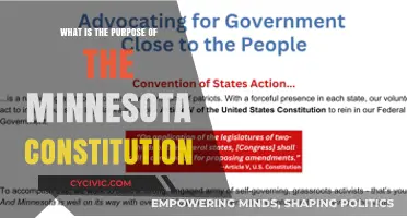 Understanding Minnesota's Constitution: Its Purpose and Function