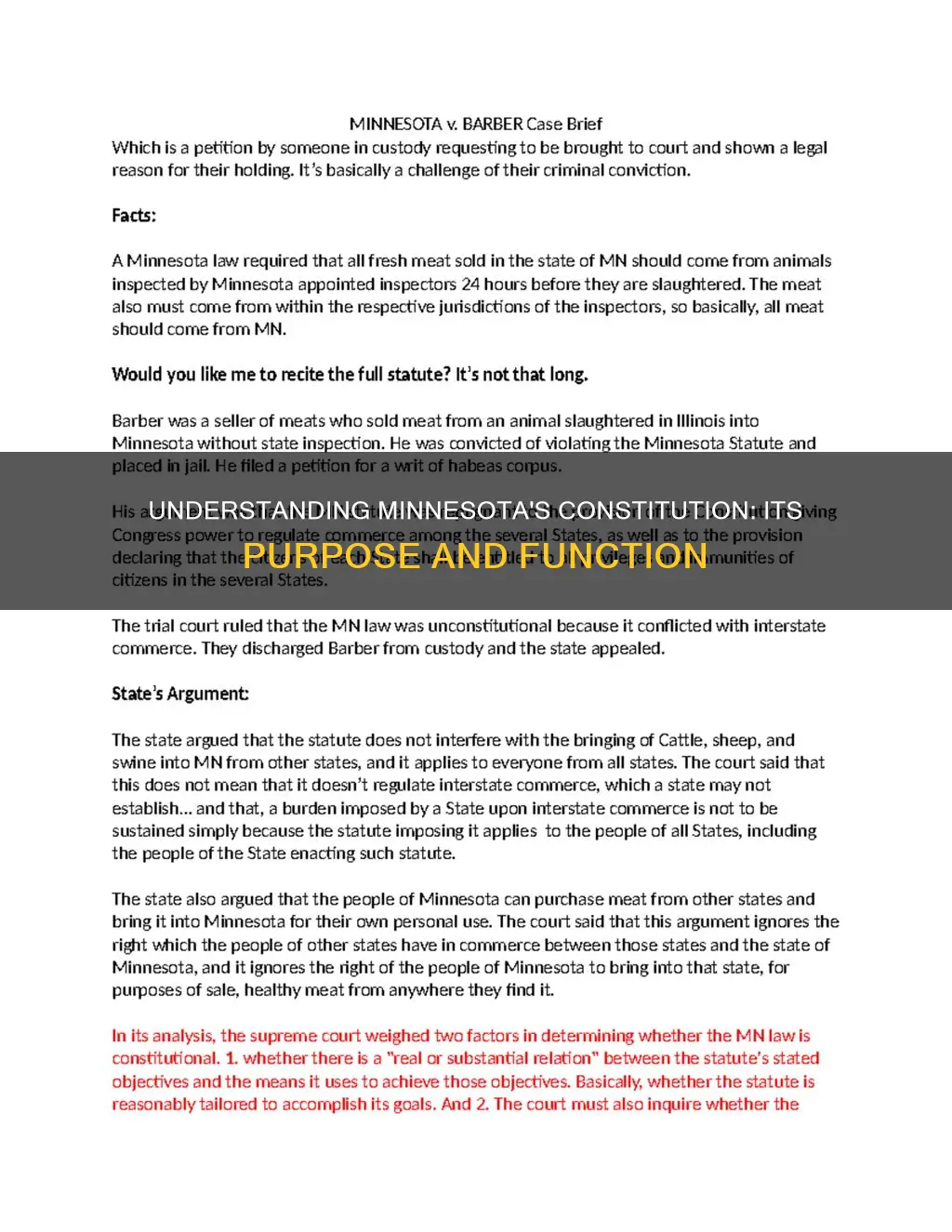 what is the purpose of the minnesota constitution