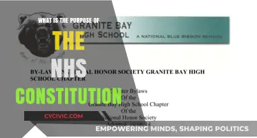 The NHS Constitution: Understanding Our Healthcare Rights