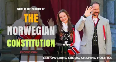 Understanding Norway's Constitution: Its Purpose and Principles