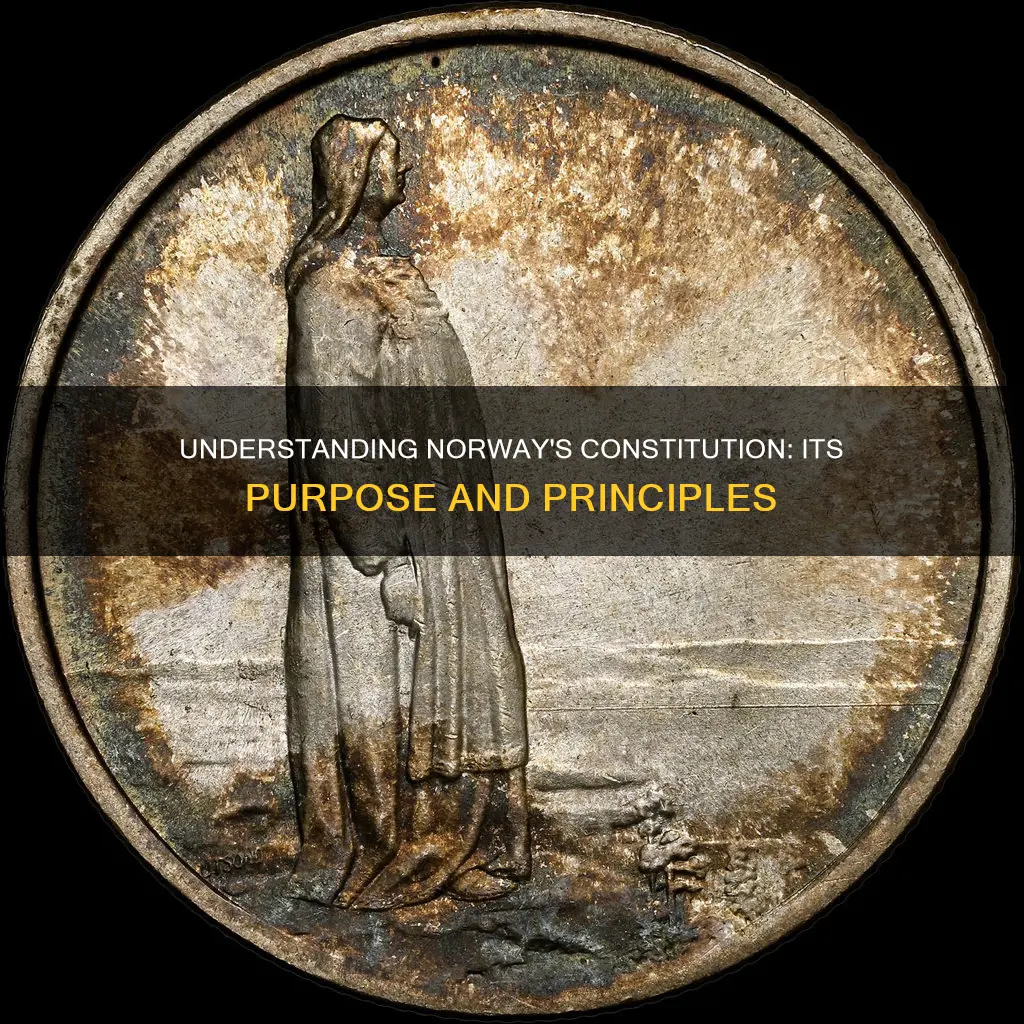 what is the purpose of the norwegian constitution