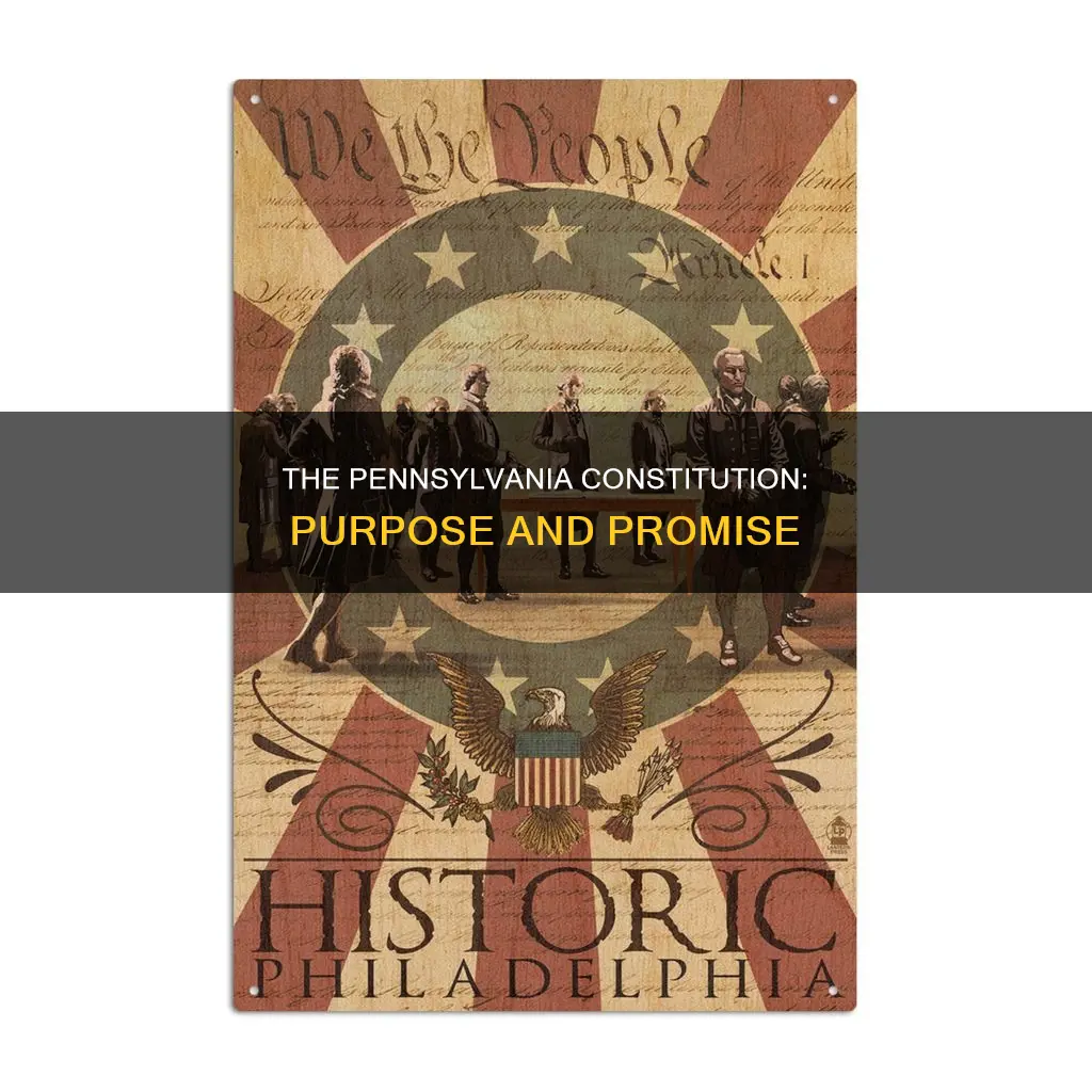 what is the purpose of the pa constitution