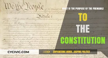 The Preamble: Constitution's Core Principles