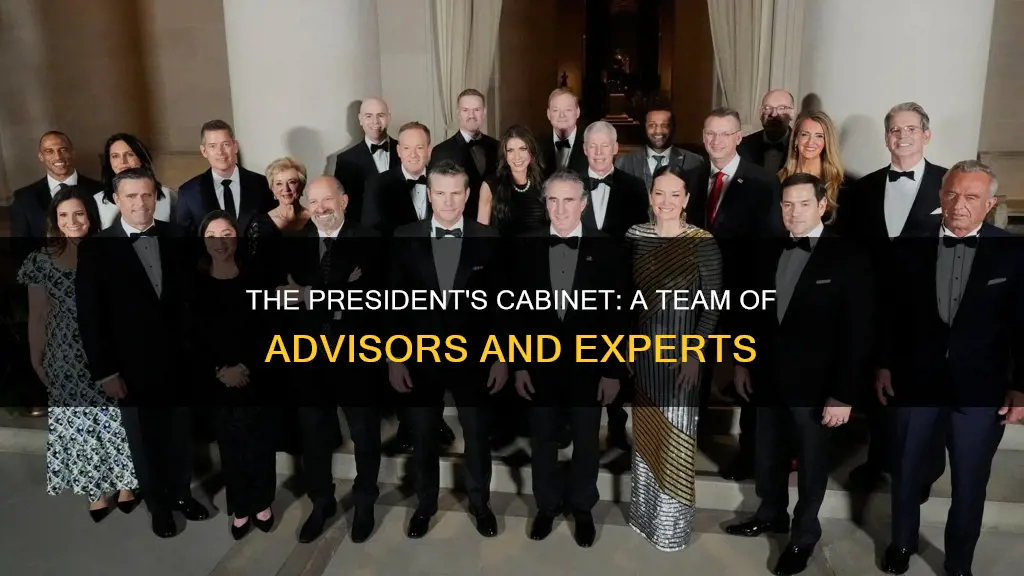what is the purpose of the presidential cabinet