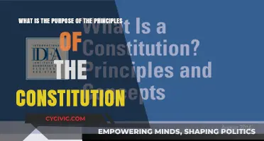 Constitution Principles: Why They Matter
