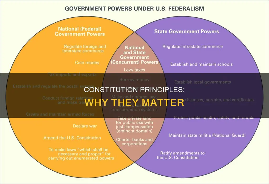 what is the purpose of the principles of the constitution