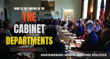 The Purpose of Cabinet Departments: Steering Government Policy